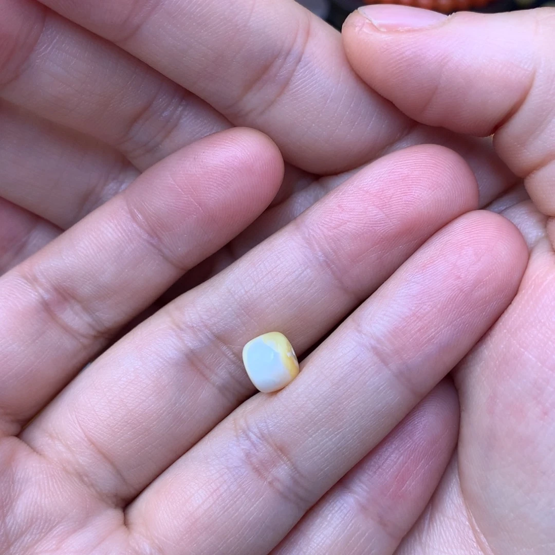加***3裸石琥珀未镶嵌蜜蜡