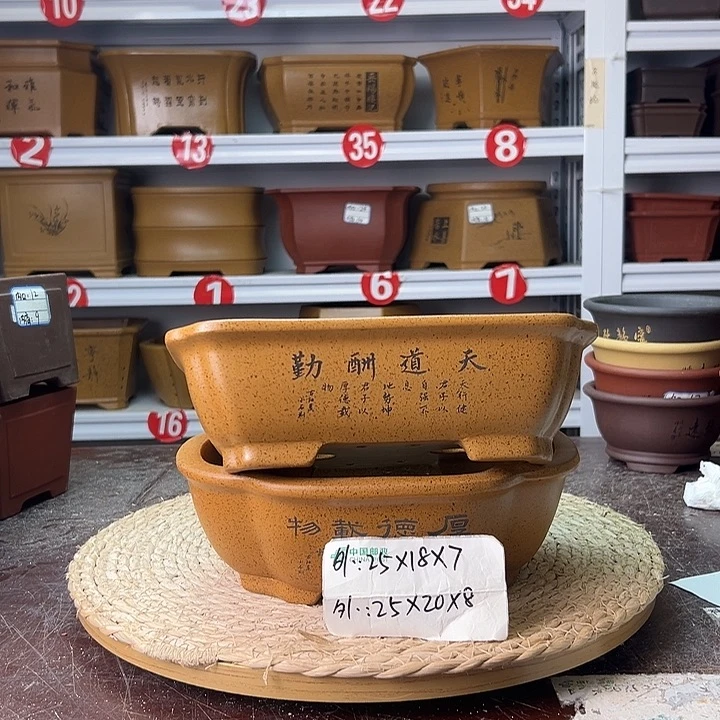 紫砂花盆蛇年大吉