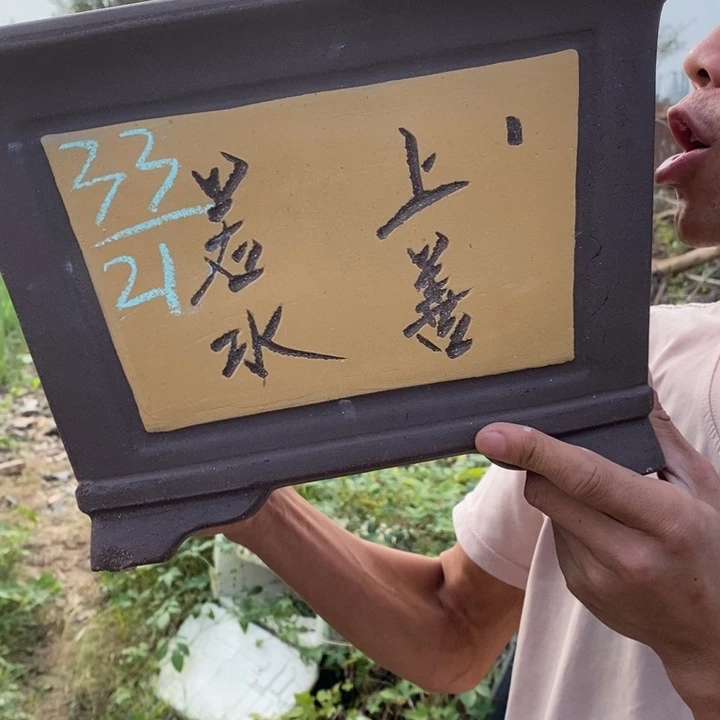 紫砂紫砂紫砂紫砂