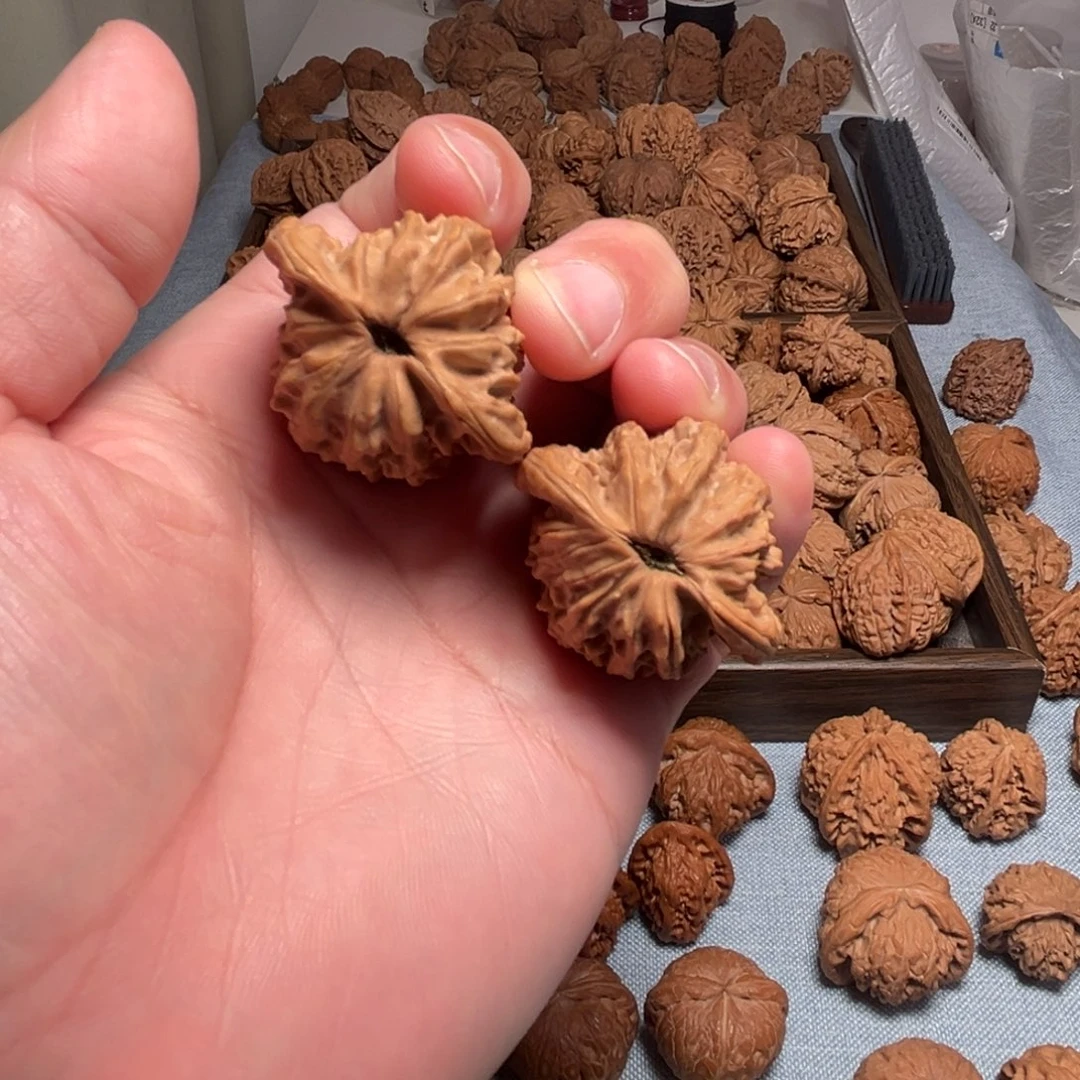 鸭嘴41尺核桃核桃