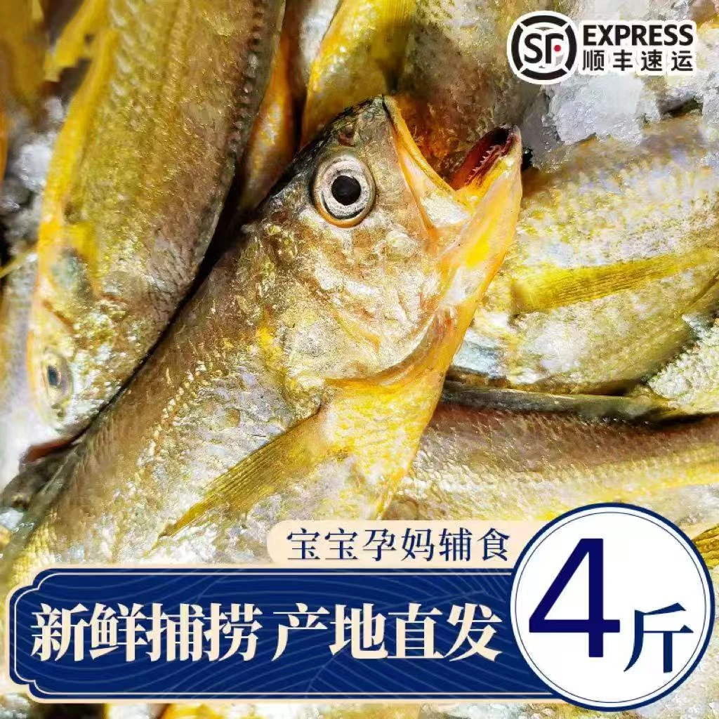 S 舟山海鲜深海小黄鱼新鲜液氮锁鲜10-12条/斤 4斤装