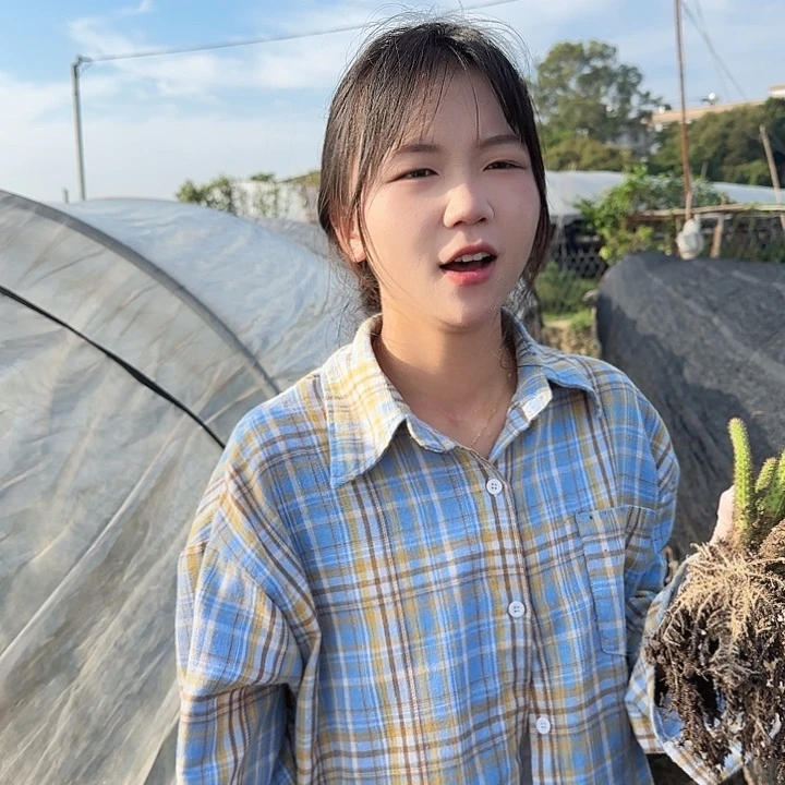 垂钓金妞两颗（掉头掉崽不售后）10头起