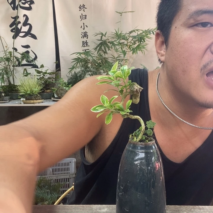 以实际为准退款拉黑拉黑7