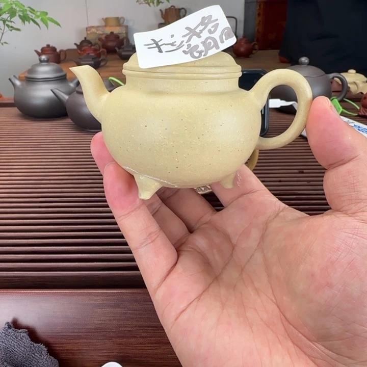 余***康茶壶紫砂微瑕本绿