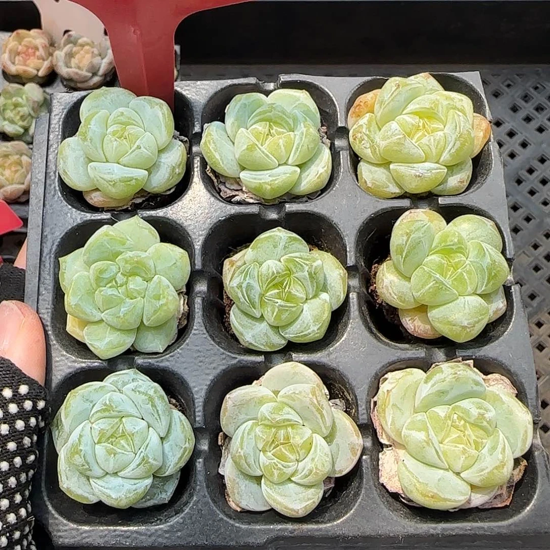 139哈哈哈哈哈哈