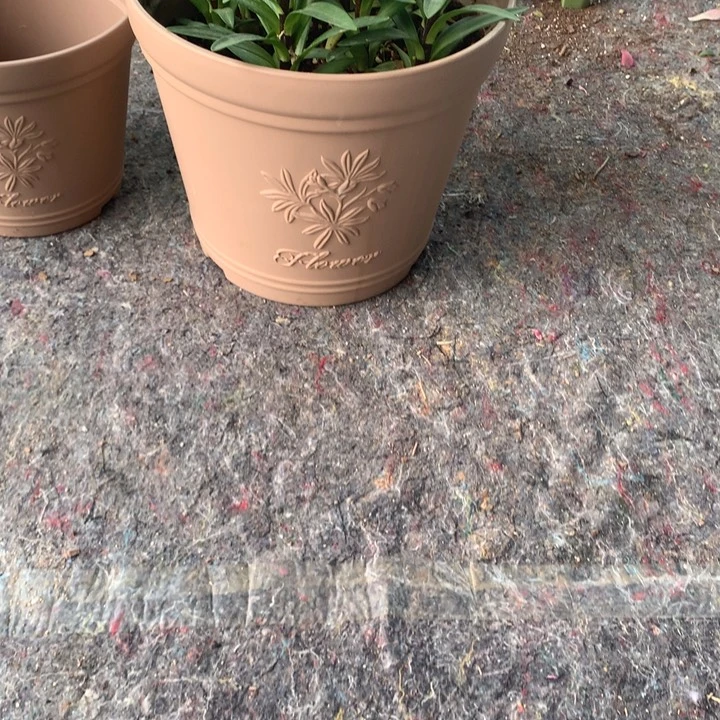 苏****u29.5口深色无托5个