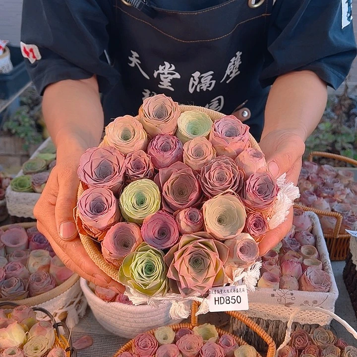 HD850。 玫瑰混花篮。