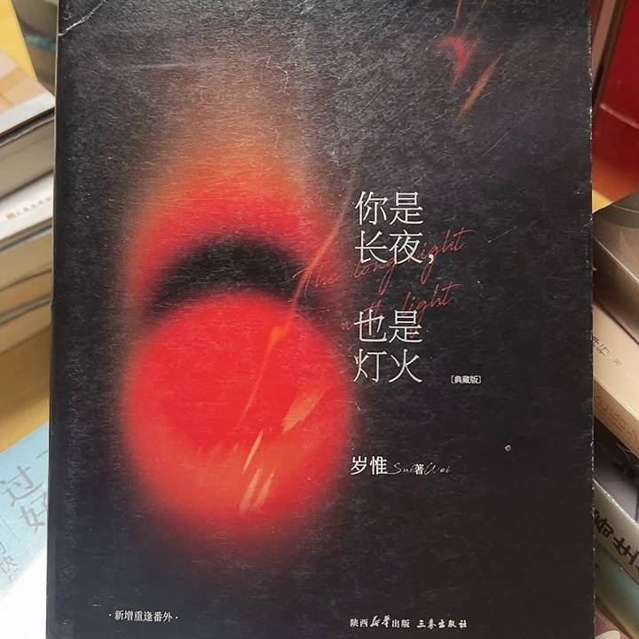 正版言情小说你是长夜也是灯火