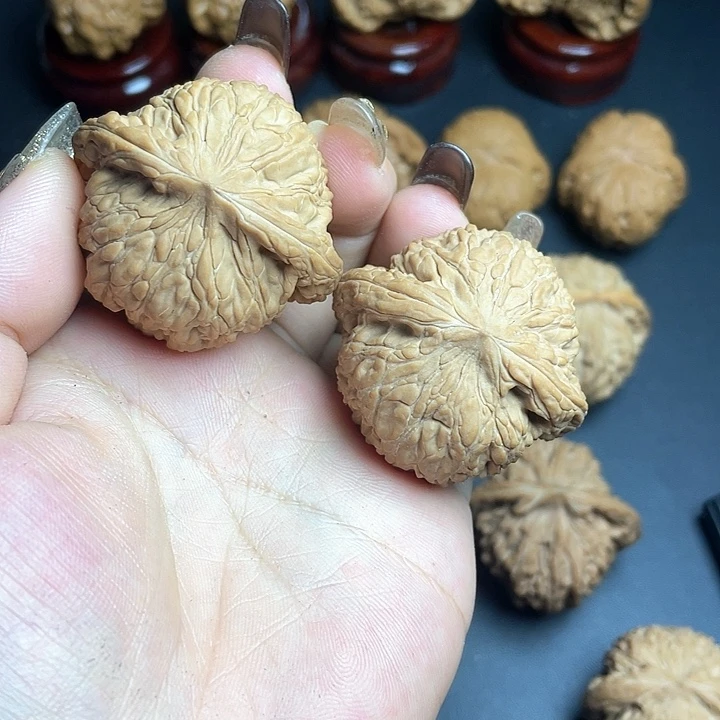 核桃全品无修泥鳅背