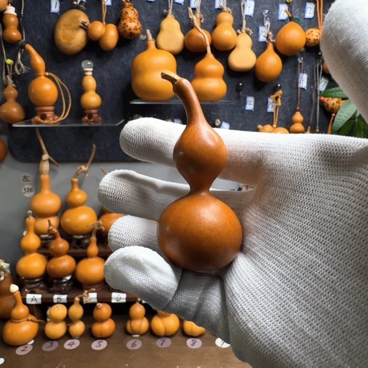 五***柳哈哈哈哈我真的很喜欢