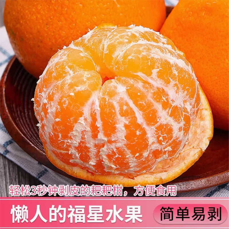 DR耙耙柑2024年头茬新鲜水果橘子当季新鲜水果丑橘
