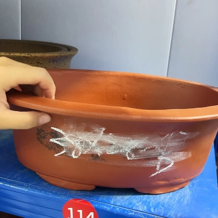 38红椭圆花盆花盆花盆×2