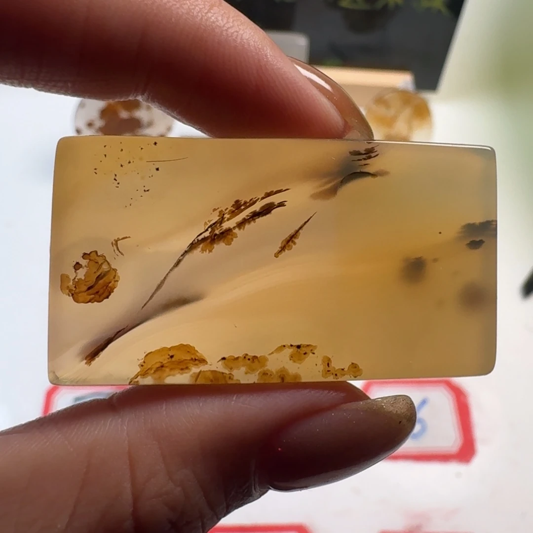 未镶嵌颈饰玛瑙/玉髓