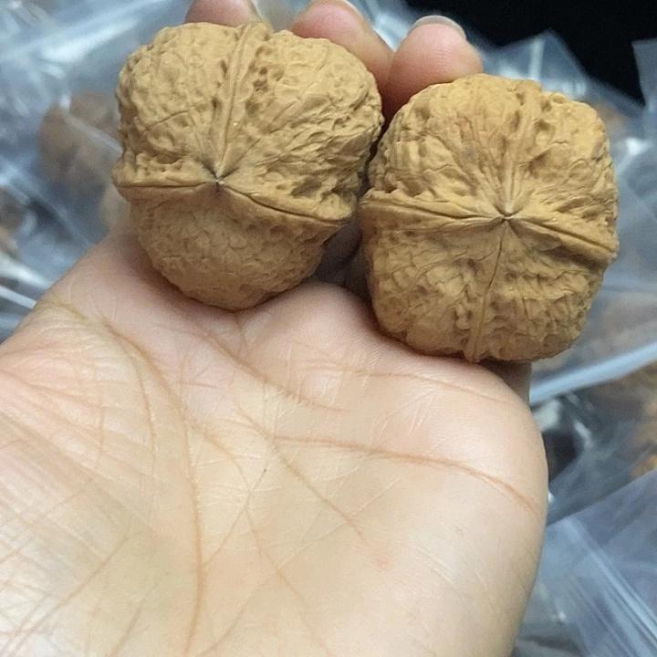 木质类云南铁核桃+47
