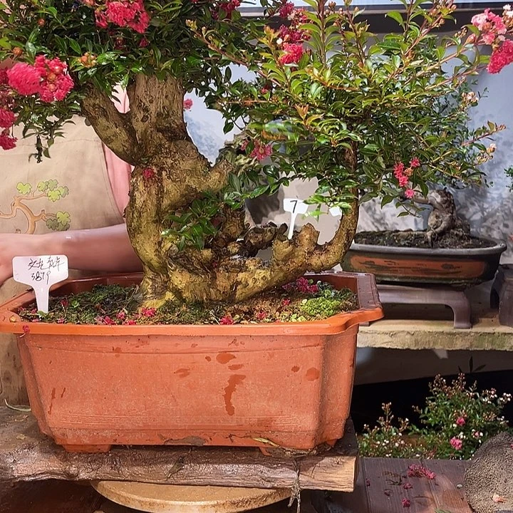 少量花朵（建议范围：2朵-5朵 或40%以下）