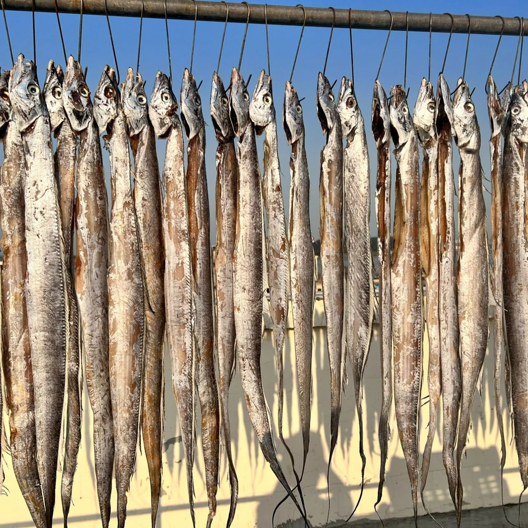 【超大大大舟山油带】舟山精品风带鱼 小眼雷达网油带鱼自然风干