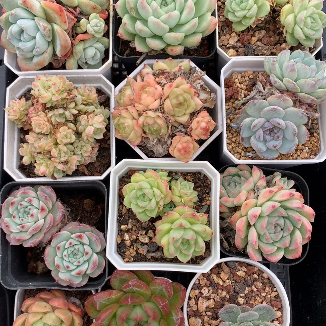 1102-15 套餐一组