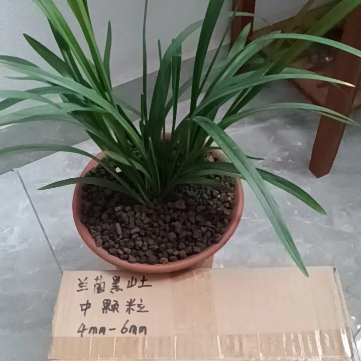 空***蘭兰菌颗粒中颗粒6.6斤