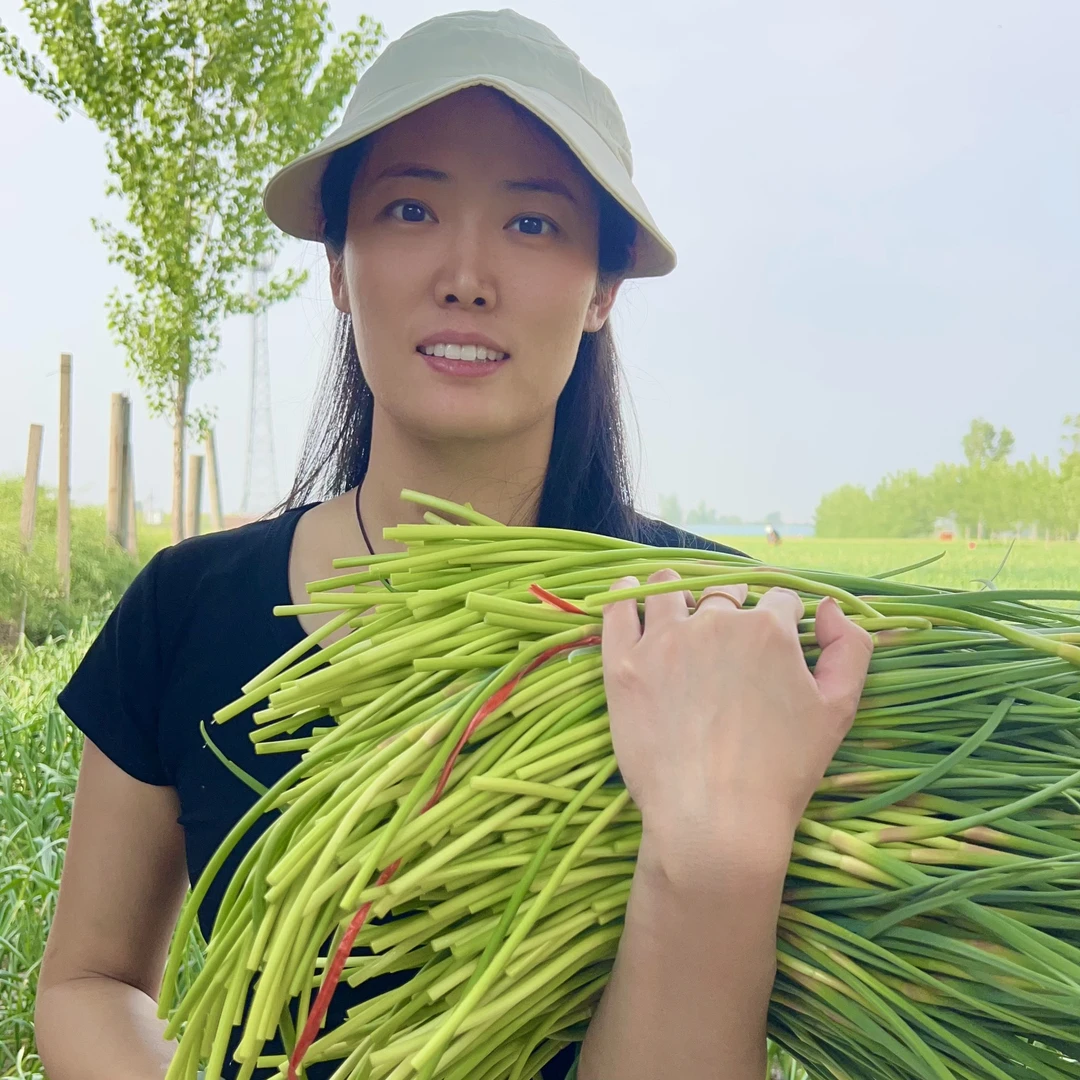 河南新鲜蒜台5斤农家自种青蒜苗当季蔬菜大蒜薹蒜毫黄包邮批发