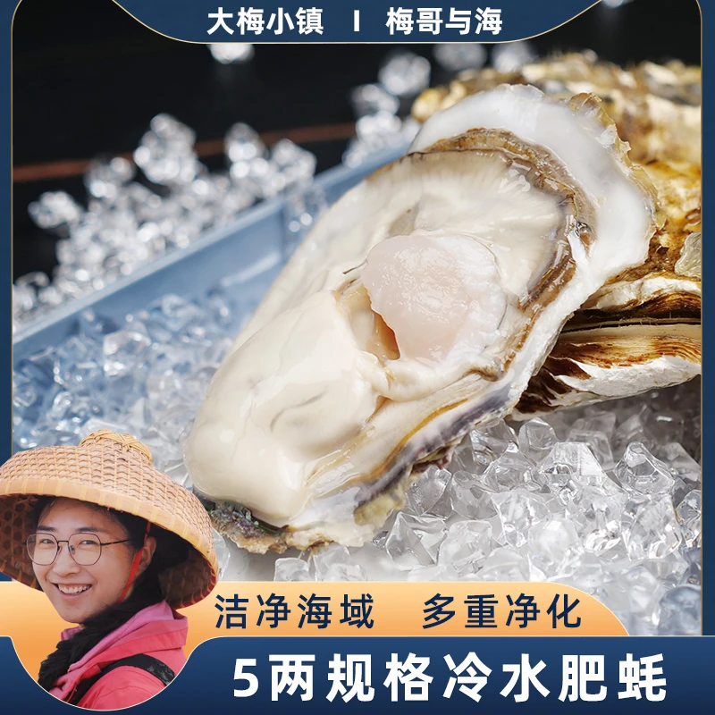 大梅小镇精选鲜活肥美5两规格左右5斤生蚝饱满鲜嫩 每斤2只左右