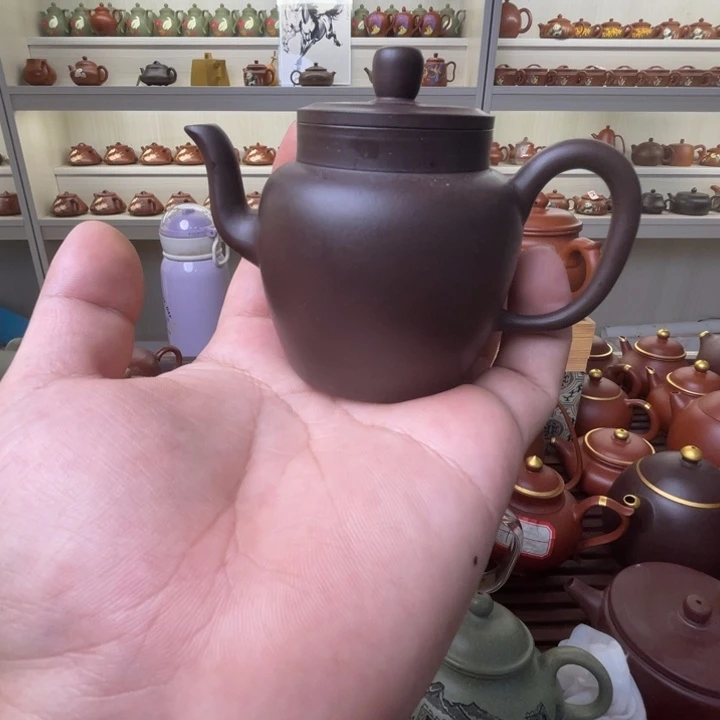 茶壶紫砂他小心翼翼问我哦我