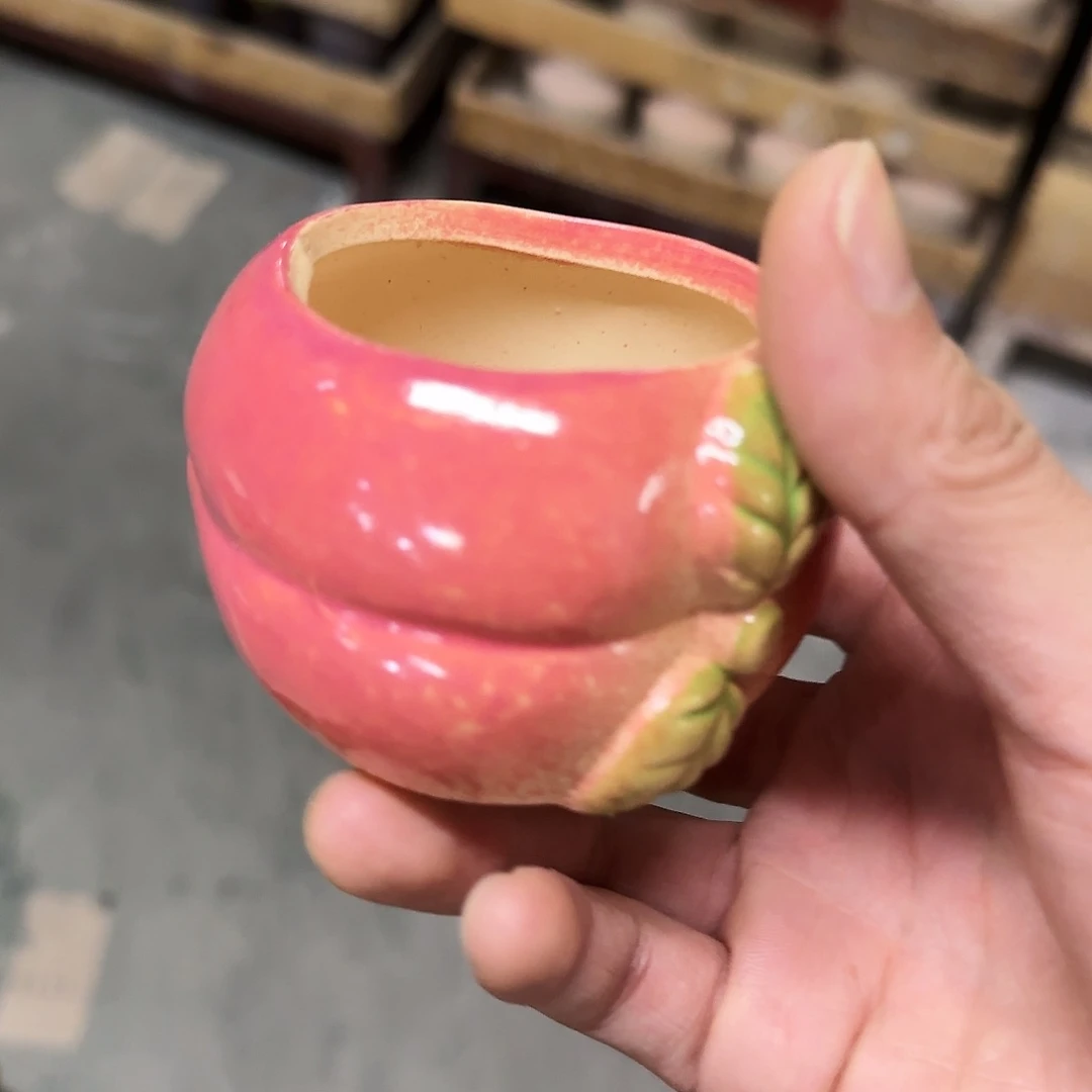 特价盆·清仓价·凑9元发·
