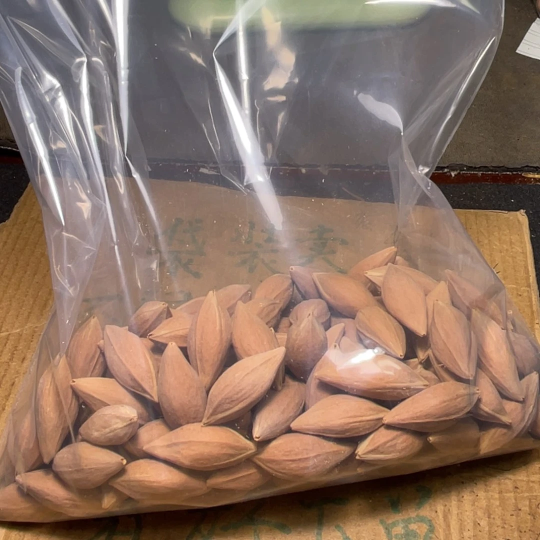 湘***窗橄榄核吊坠不退不换
