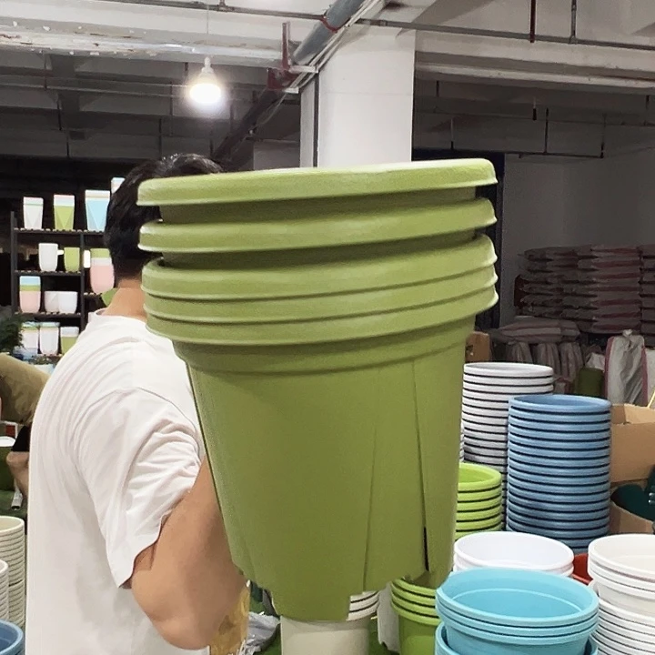 青山口32高28果绿色5个无托