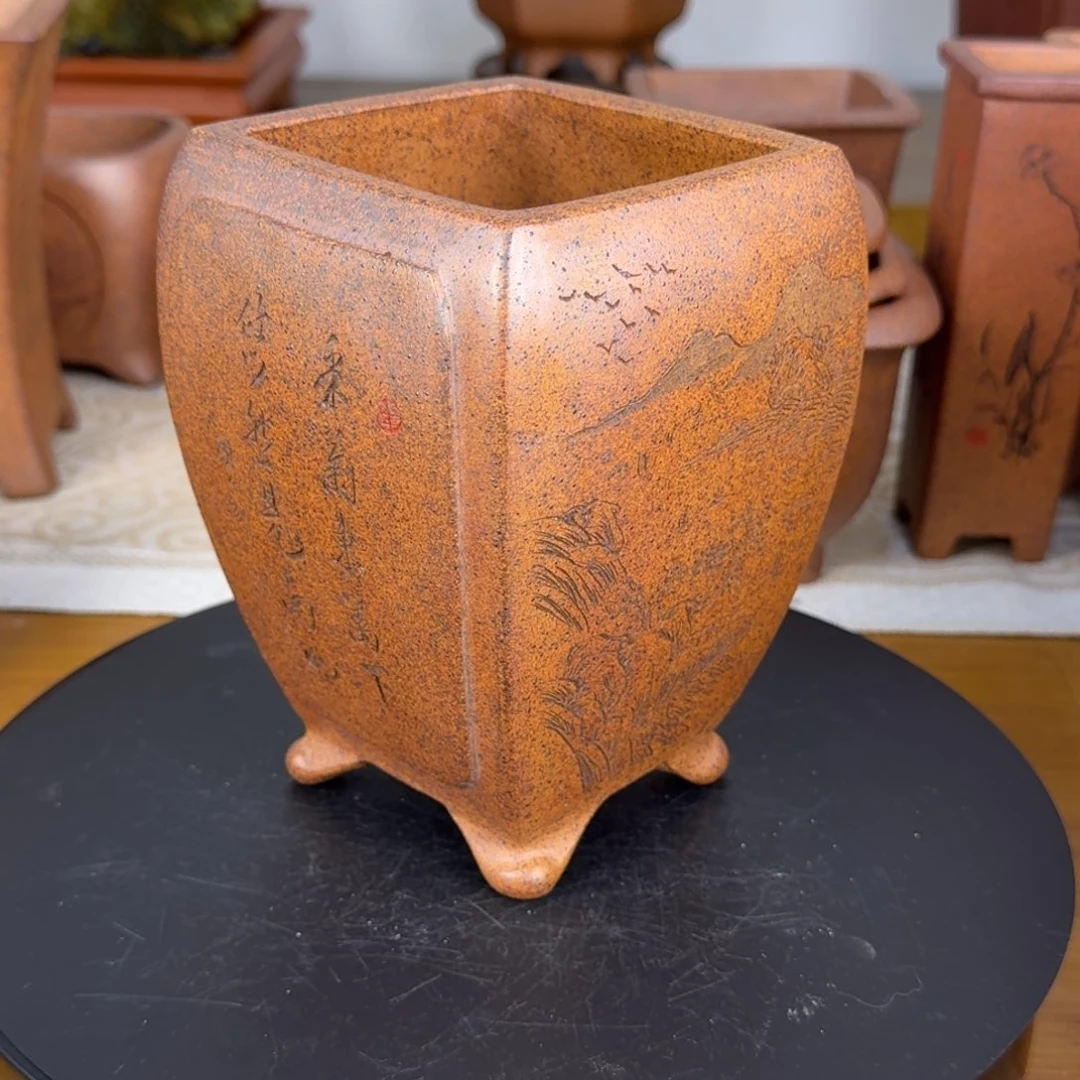 紫砂花盆风**柳紫砂花盆