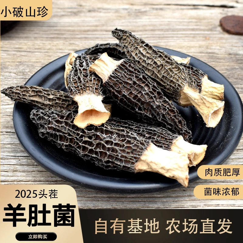 2025头茬干品羊肚菌自有农场自产自销羊肚菌