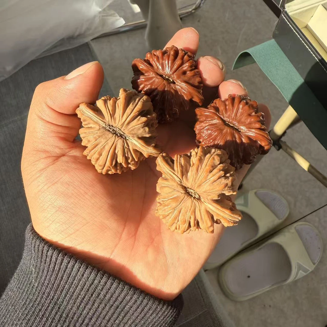 老树全品 平谷四座楼 尺寸可选
