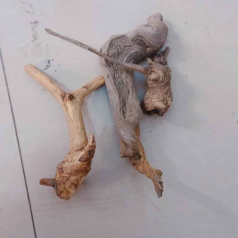 【闪购商品】柏木2****活太行天下第一