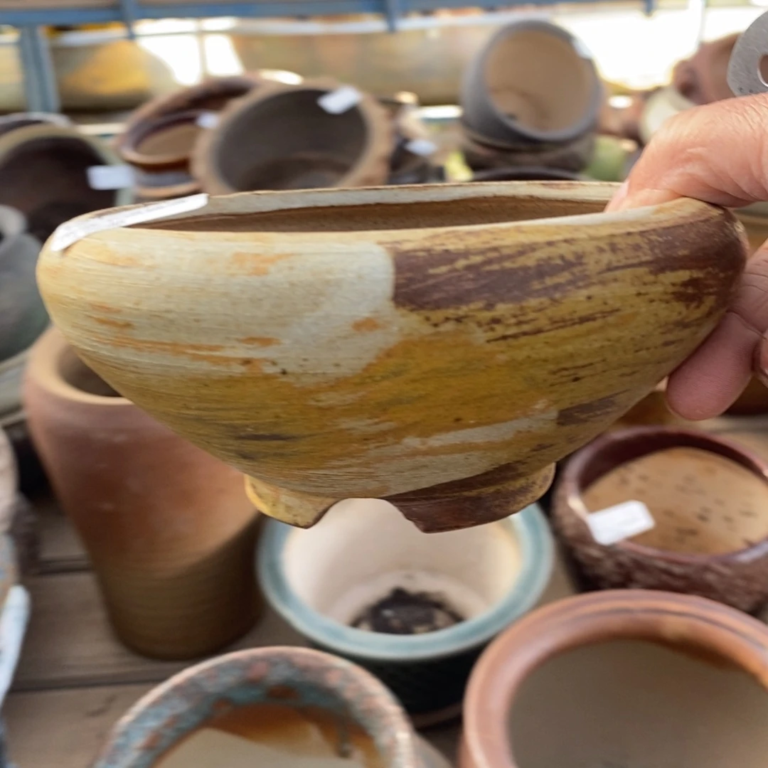 143号多肉盆口径12