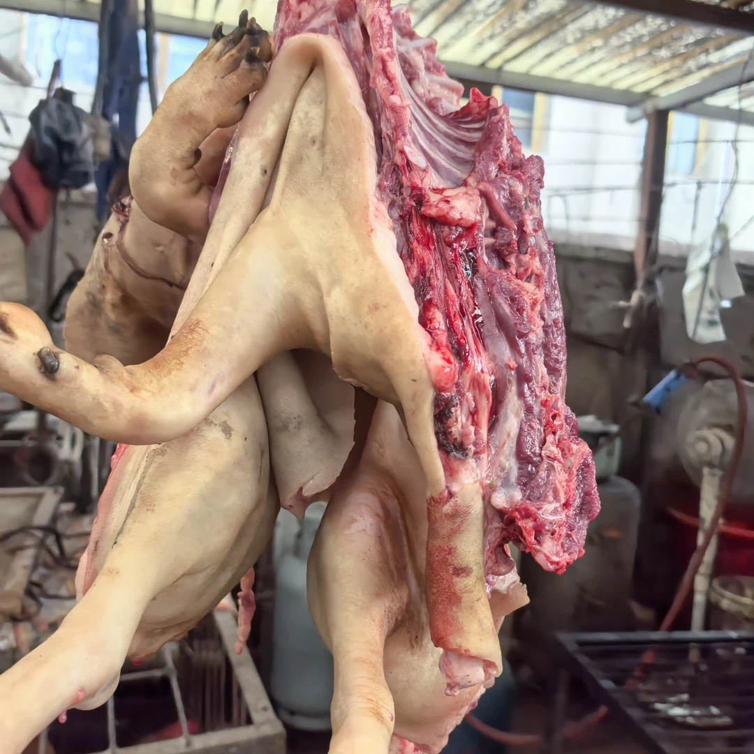 冰鲜带皮带骨羊后腿肉顺丰冷链包邮