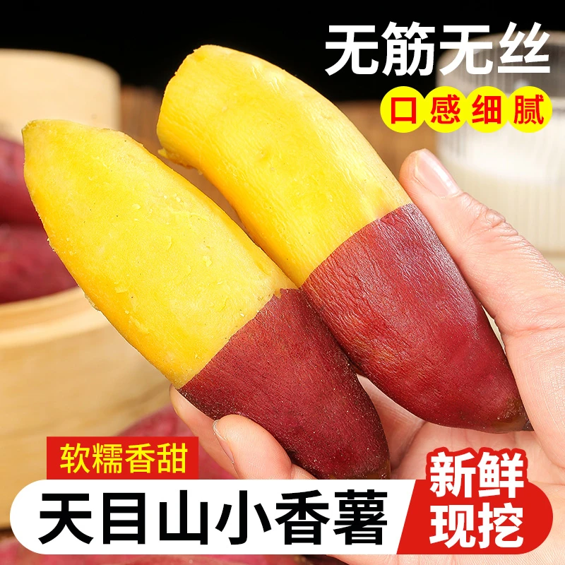 【蒸烤】新鲜小香薯软糯香甜现挖黄心地瓜番薯助农
