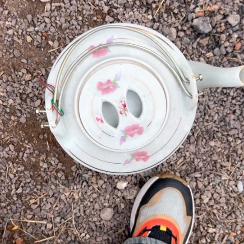 核桃木/黑胡桃（胡桃木）名*