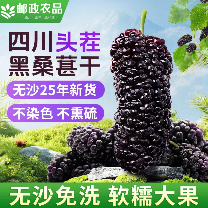 【邮政农品】四川桑葚干免洗新货大果黑桑椹泡酒泡茶零食无沙