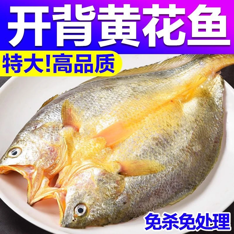 福建宁德霞浦黄鱼鲞新鲜冷冻正宗小黄鱼黄花鱼免杀免洗