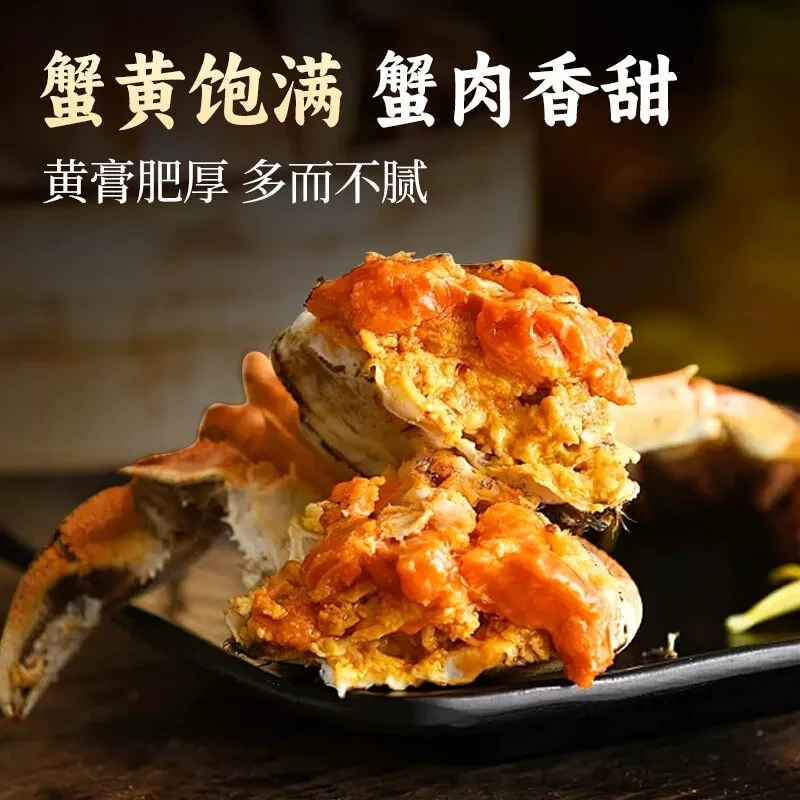 【活蟹】江苏全母蟹1.8-2.0两 精品河蟹8只送2只共10只送精品礼盒 顺丰包邮