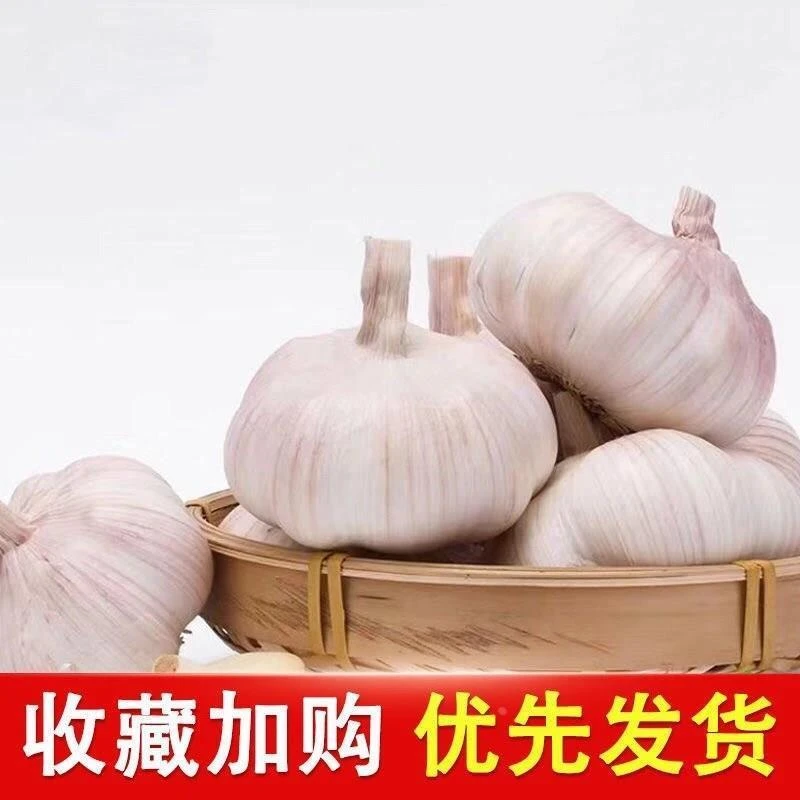 大蒜头干蒜5斤山东紫皮干鲜独头蒜多瓣白皮10斤装包邮农家新蒜