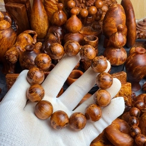 松木（琥珀木）其他