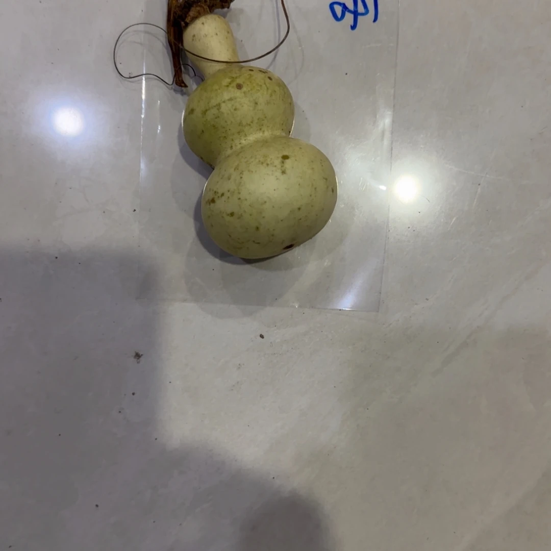 哈***哈青皮不包成，，，，，，，，