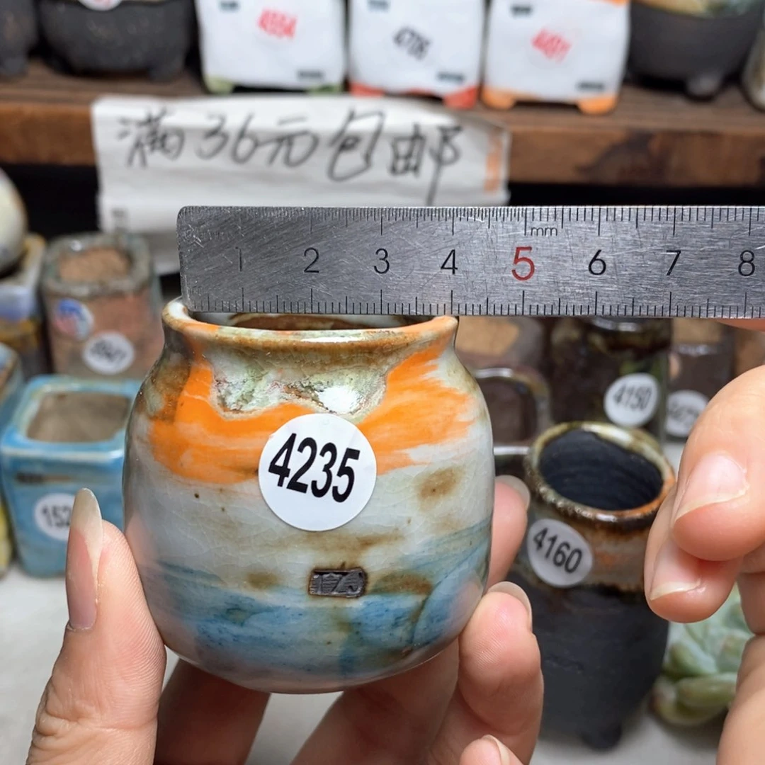 拍5送一个小礼物