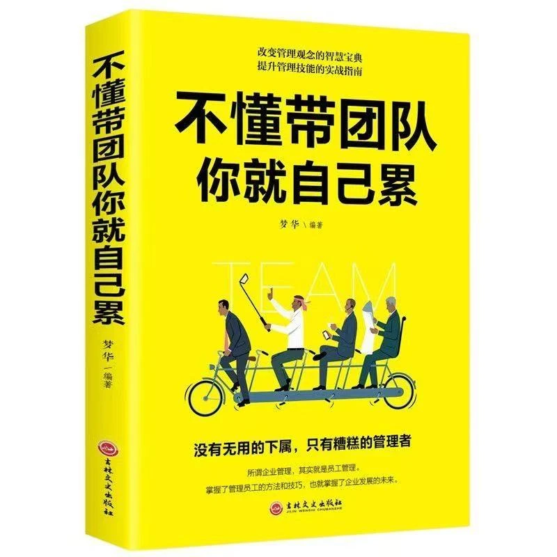 【官方正版】不懂带团队你就自己累 带团队管理企业管理书籍书