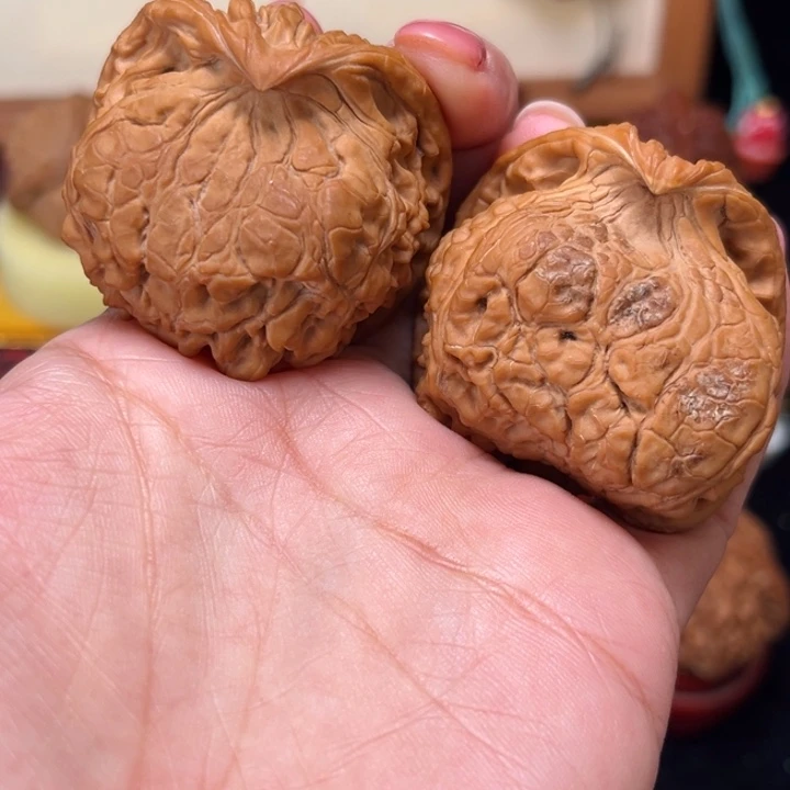 手串文玩核桃44大尺全品毕业官帽蛇