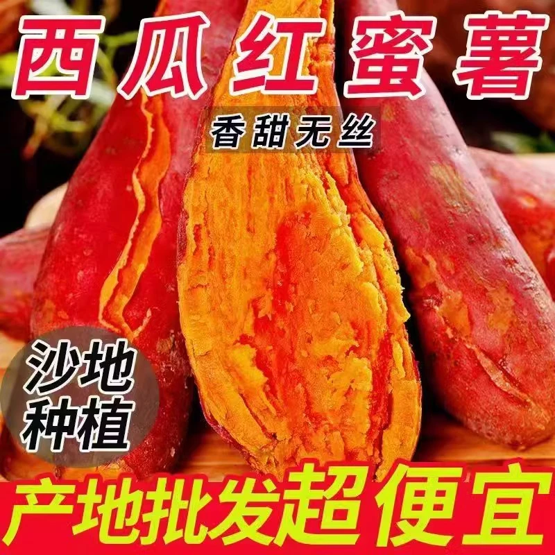 流油番薯蜜薯地瓜新鲜水果包邮现挖西瓜红蜜薯糖心整箱应季农家种