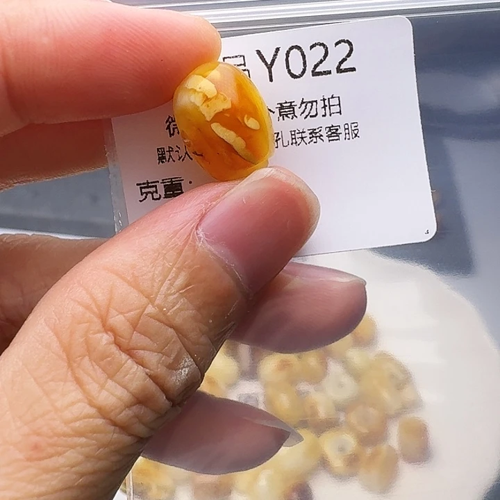 裸石琥珀未镶嵌琥珀