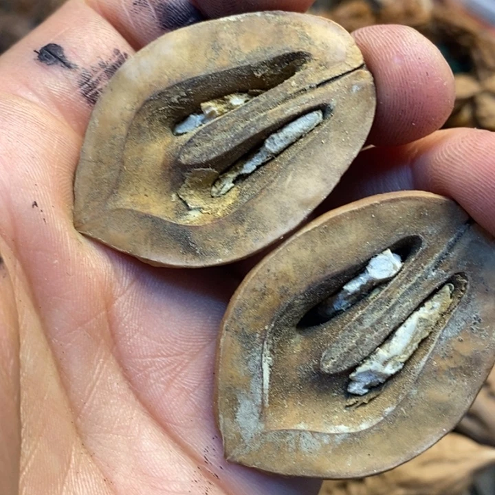 文玩核桃吊坠娜姐117