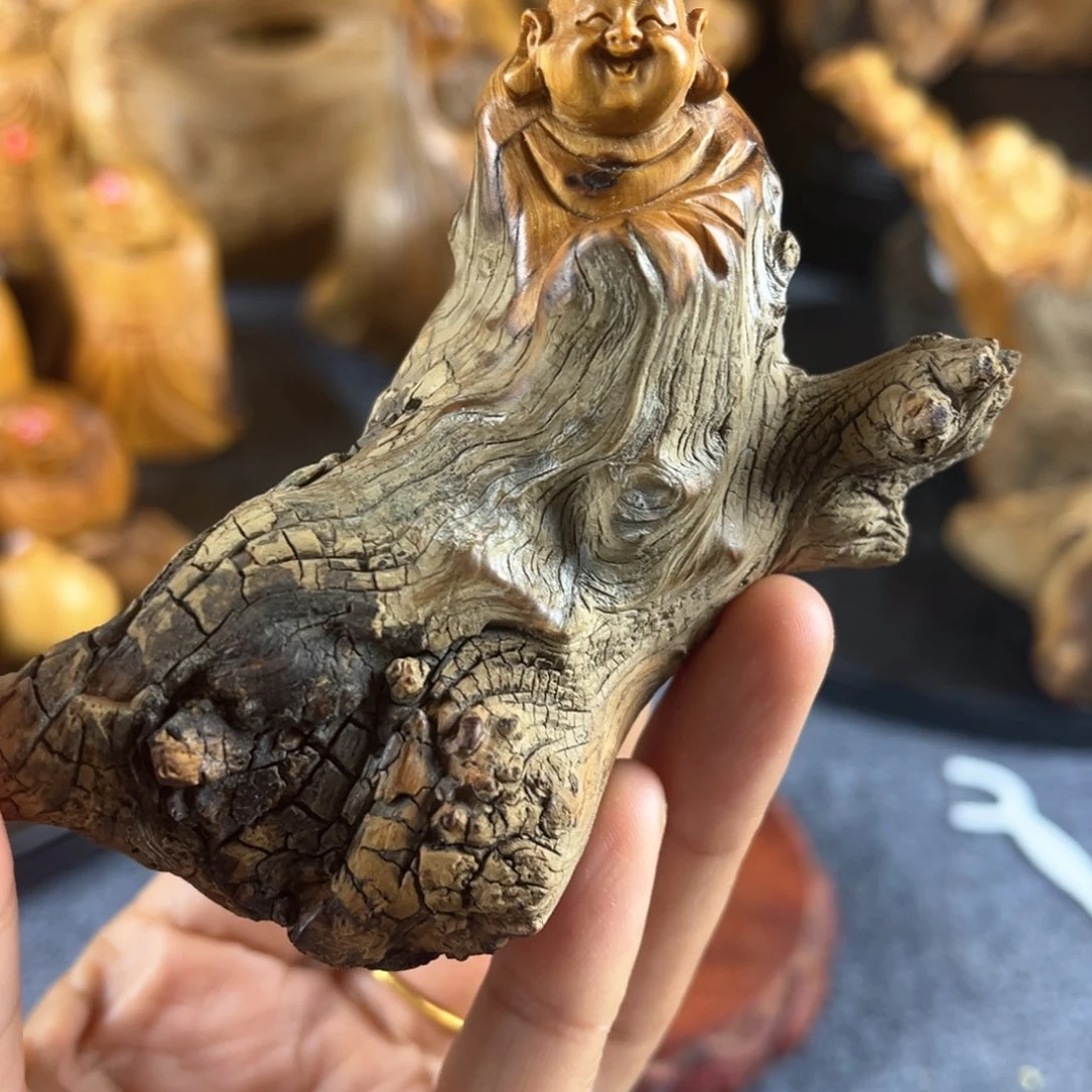 柏木崖柏崖柏崖柏