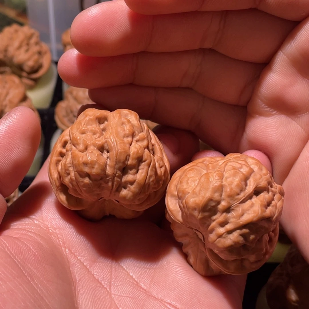 手串/手链核桃11111111